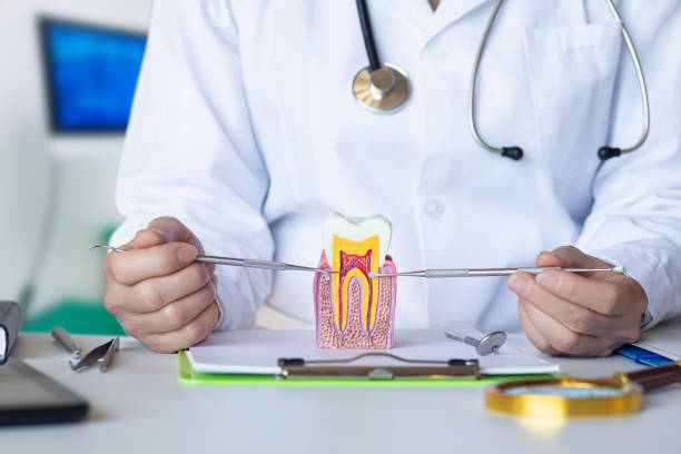 Best Emergency Treatment for Oral Infections in Merrionette Park, IL